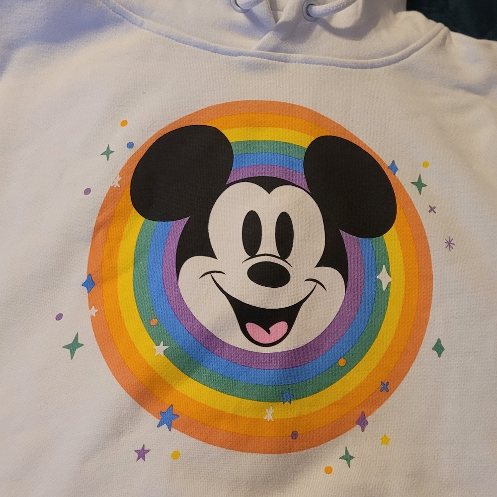 Disneyland Parks Pride Sweatshirt Hoodie XS Adult NWT - Picture 5 of 6